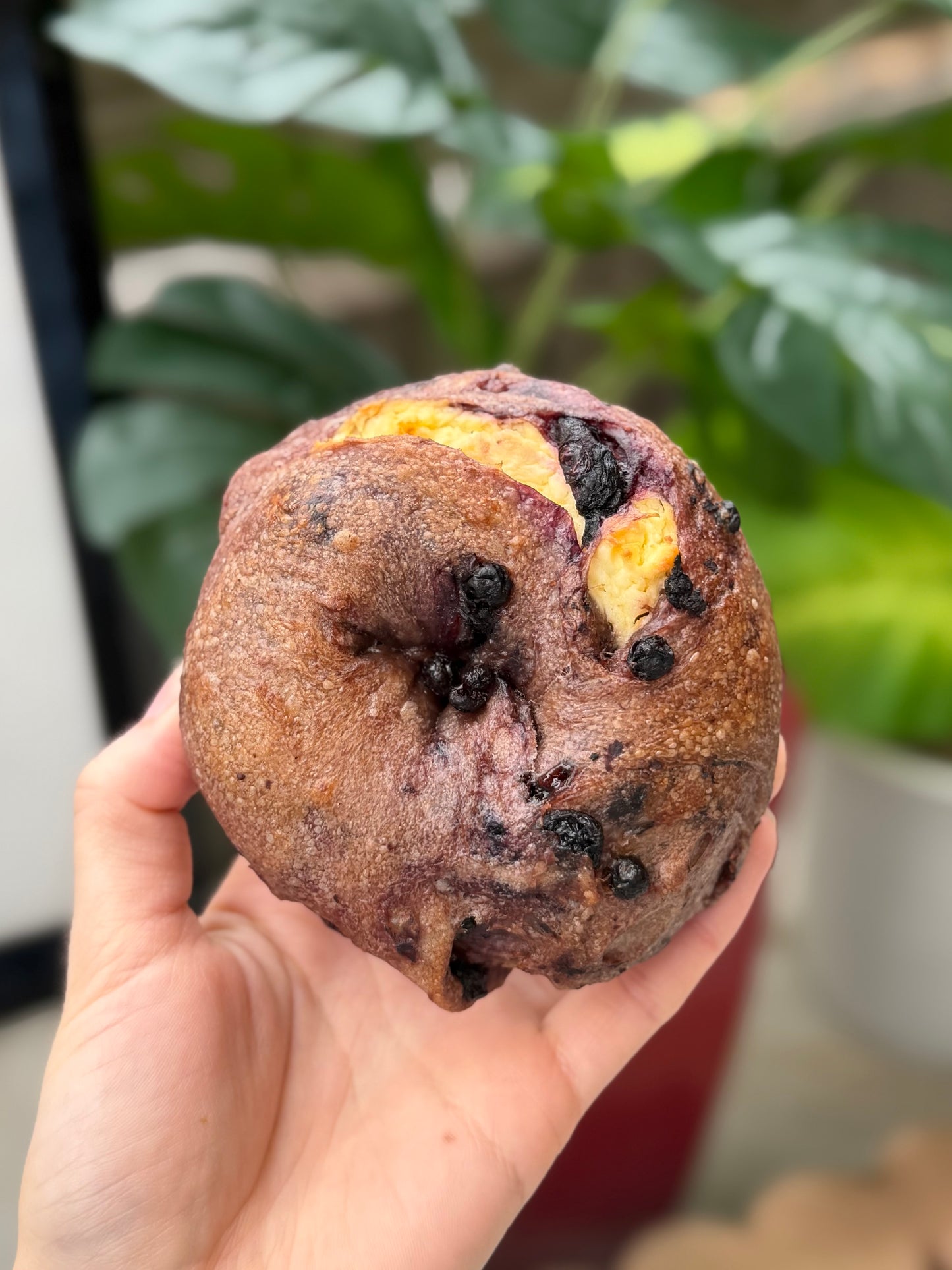 ブルーベリーベーグル