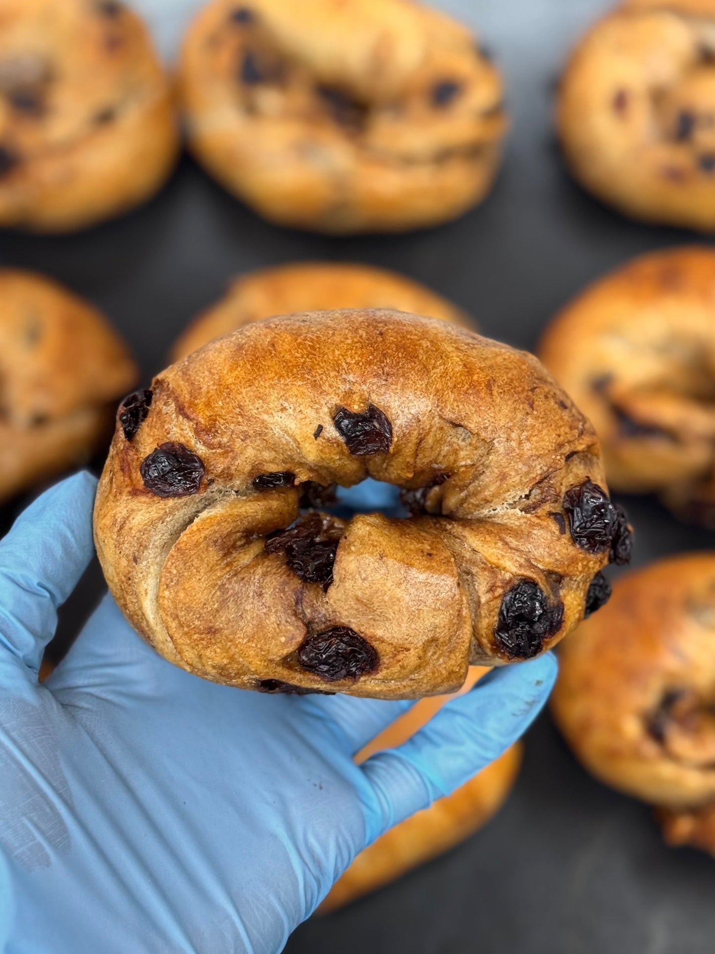 〖送料無料〗ベーグル8点セット