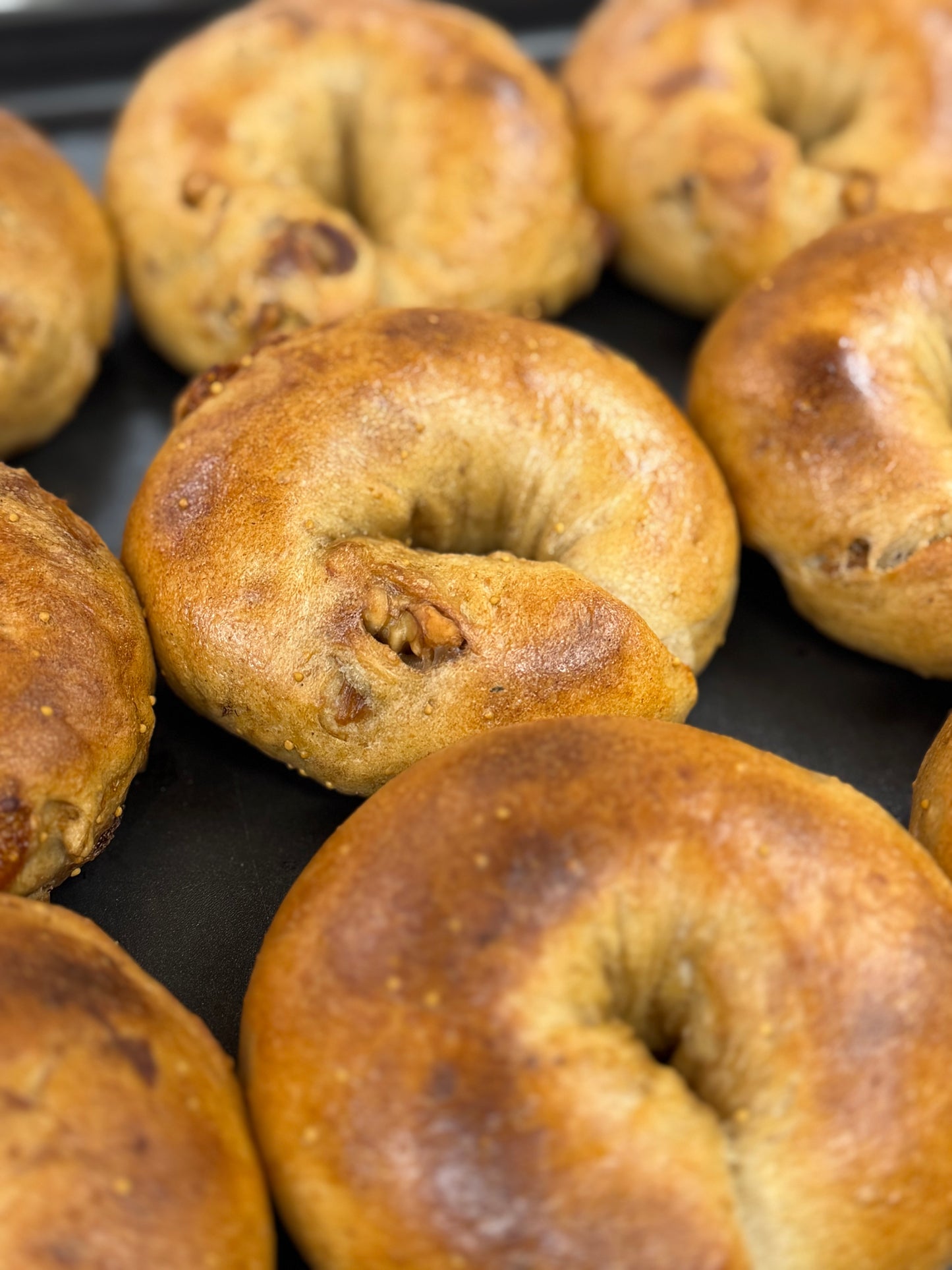 〖送料無料〗ベーグル8点セット