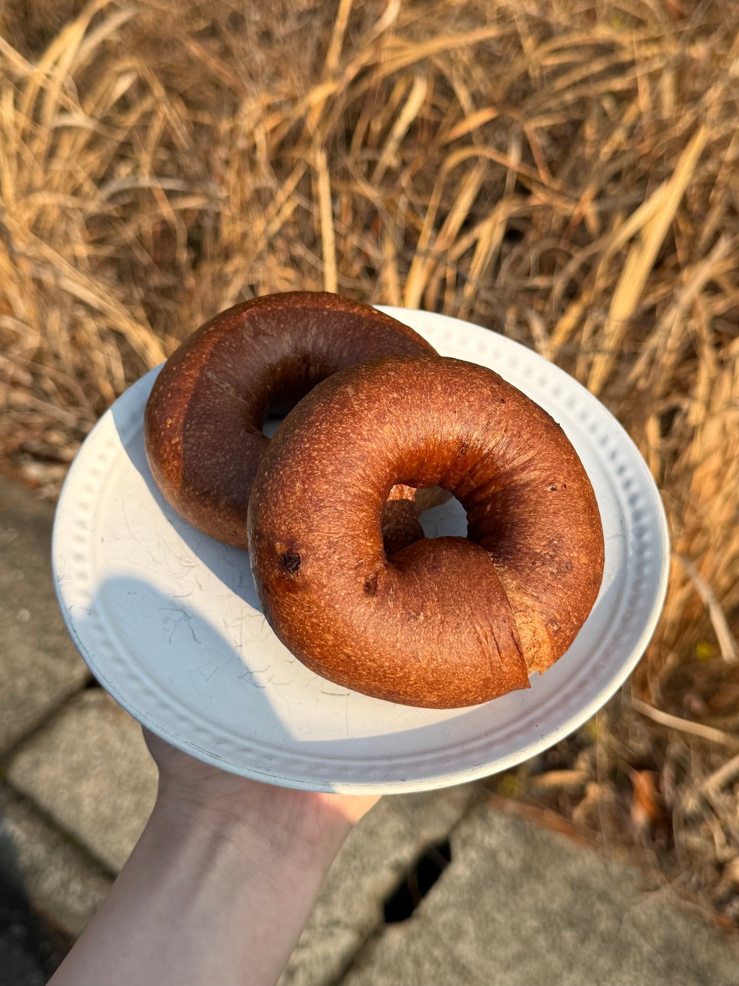 チョコベーグル