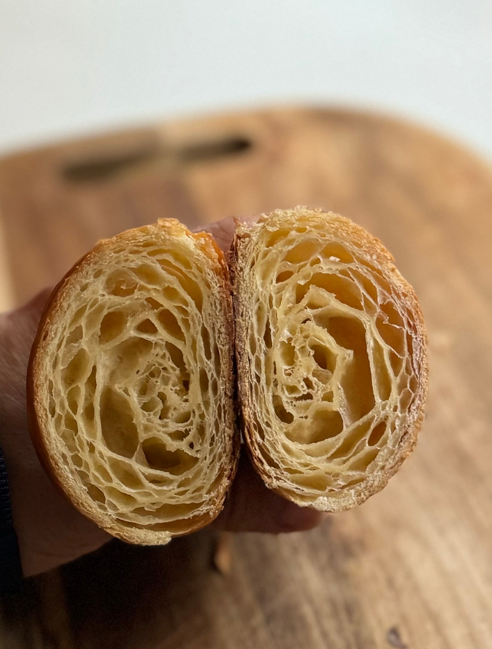 Busuko Shell 商品 – BUSUKOPAN