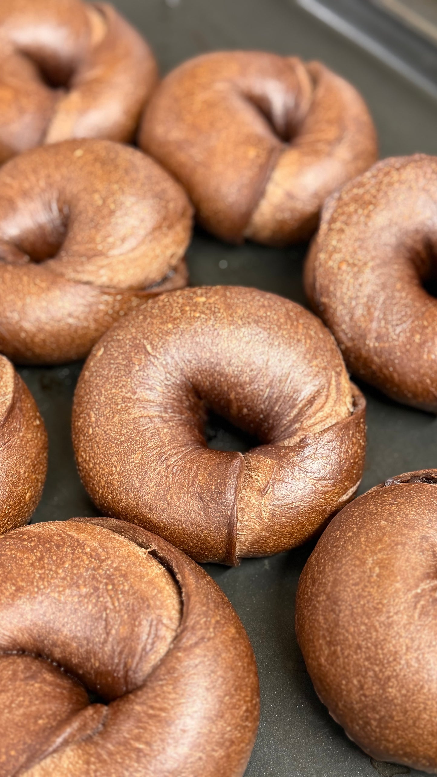 〖送料無料〗ベーグル8点セット