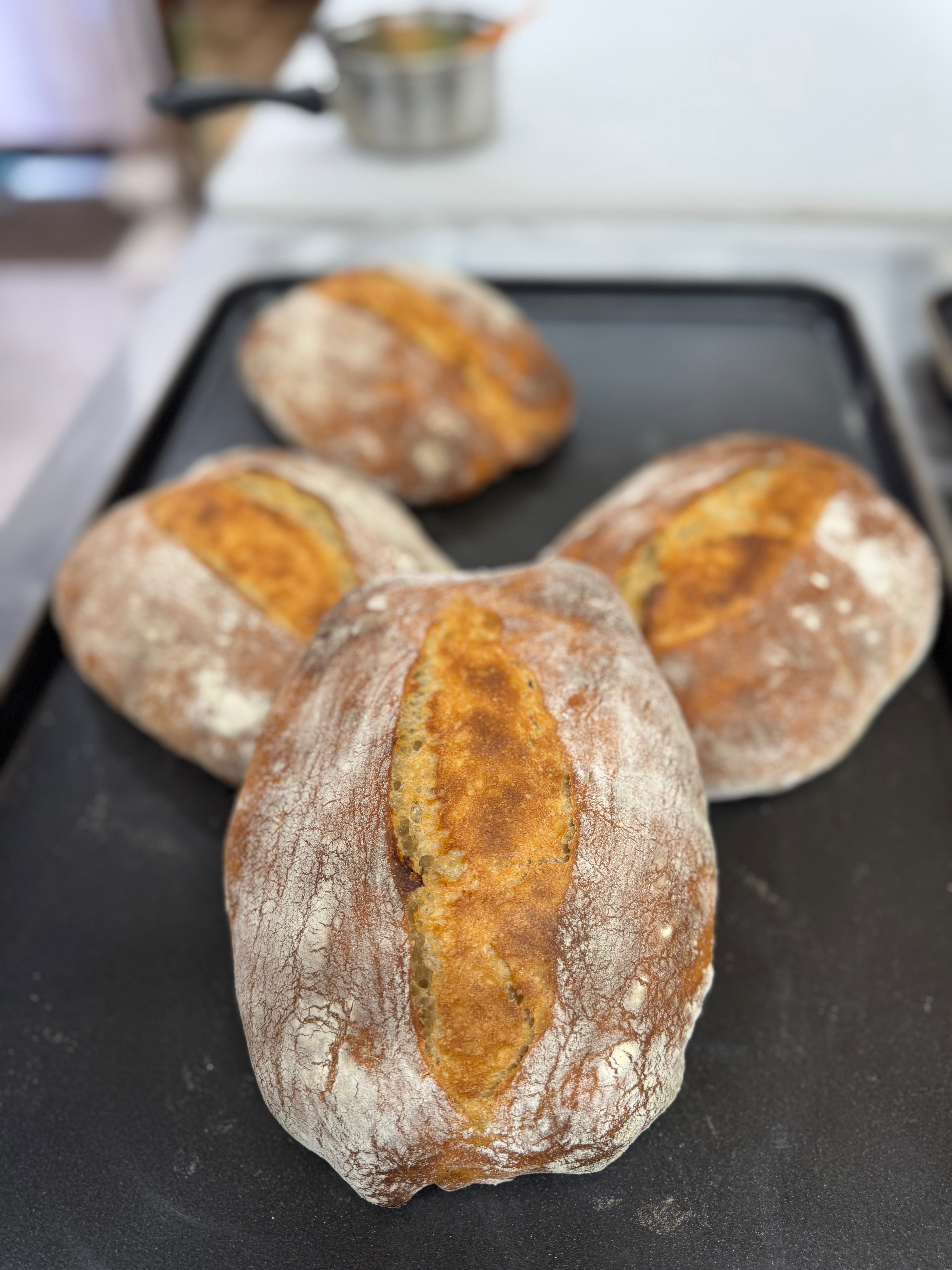 コンプレ – BUSUKOPAN